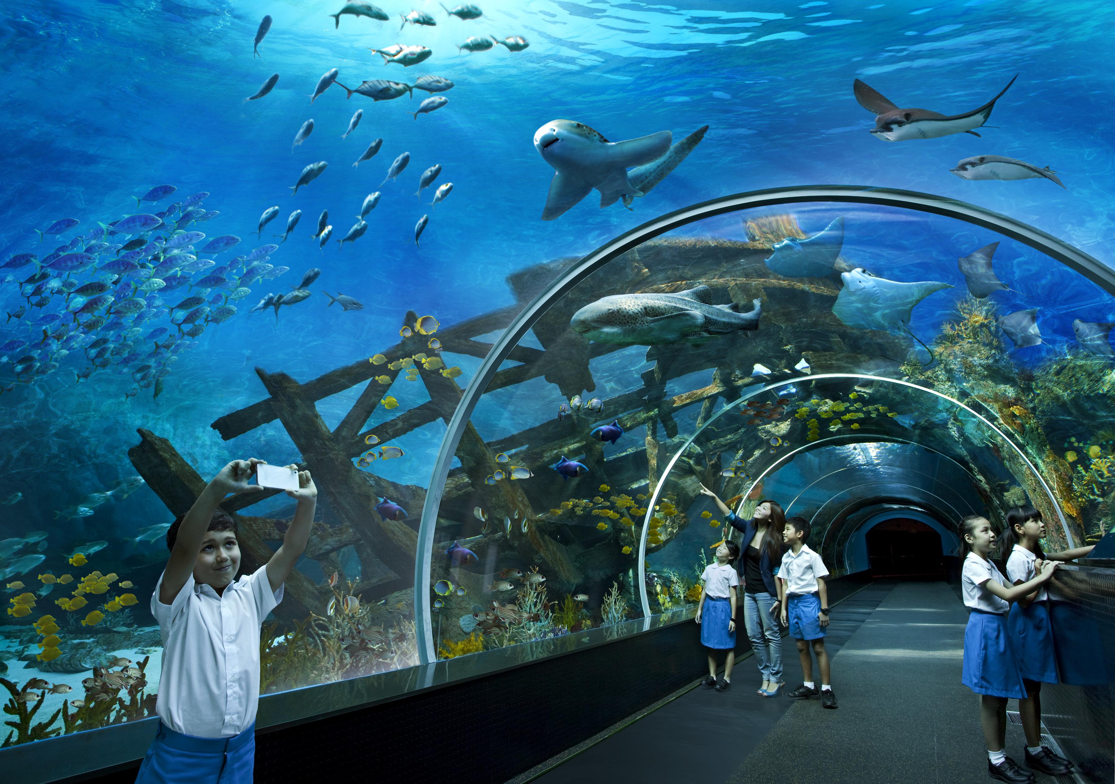 Resorts World Sentosa - Crockfords Tower Singapour Extérieur photo